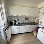 Rent 4 bedroom house of 112 m² in eindhoven