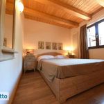 Rent 1 bedroom apartment of 60 m² in Limone Piemonte