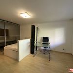 Rent 1 bedroom apartment of 42 m² in Wien