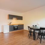 New 1-room apartment in Ratingen 15 min to Messe Düsseldorf, Ratingen - Amsterdam Apartments for Rent