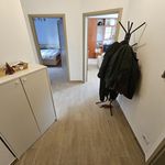 Affitto 3 camera appartamento di 62 m² in Pinerolo