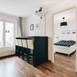 Rent 2 bedroom apartment of 49 m² in Dresden