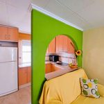Rent 2 bedroom apartment of 56 m² in pilar de la horadada 