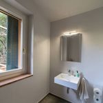 Rent 5 bedroom house of 250 m² in Monte Argentario