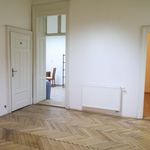 Rent 1 bedroom apartment of 154 m² in Brno