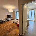 Rent 2 bedroom apartment of 221 m² in Torino
