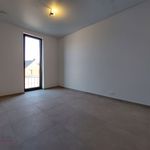 Rent 2 bedroom apartment of 80 m² in SCHIPLAKEN