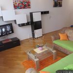 Rent 4 bedroom apartment of 100 m² in Kastav