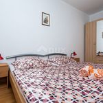 Rent 3 bedroom apartment of 57 m² in Šilo