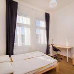 Rent 5 bedroom apartment in Prague