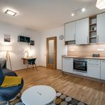 Rent 1 bedroom apartment of 34 m² in Prague