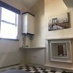 Rent 2 bedroom apartment of 150 m² in Dublin