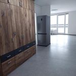 Rent 3 bedroom apartment of 65 m² in Liberec