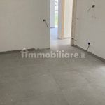 Rent 2 bedroom apartment of 60 m² in San Nicola la Strada