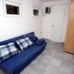 Najam 5 spavaće sobe kuća od 300 m² u Zagreb