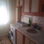 Rent 1 bedroom apartment of 55 m² in Dilşikar