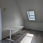 Rent 5 bedroom house of 166 m² in Delft