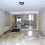 Affitto 4 camera appartamento di 100 m² in Mantova