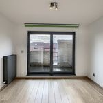 Rent 4 bedroom apartment of 200 m² in Tervuren