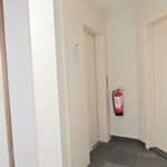 Rent 1 bedroom apartment in Tielt