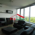 Rent 3 bedroom apartment of 86 m² in Jáchymov