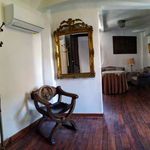 Rent 1 bedroom apartment of 90 m² in Granada