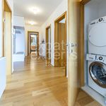 Rent 4 bedroom apartment of 97 m² in Jáchymov