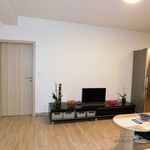 Rent 2 bedroom apartment of 50 m² in Hodonín