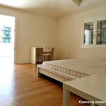 Rent 2 bedroom apartment of 70 m² in Sassuolo