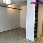 Pronajměte si 1 ložnic/e byt o rozloze 45 m² v Přerov