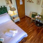 Affitto 6 camera appartamento di 254 m² in Firenze