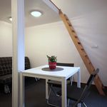 Rent 1 bedroom apartment of 24 m² in Praha 2