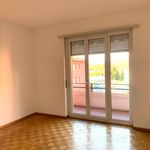 Rent 2 bedroom apartment of 55 m² in Coldrerio