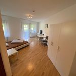 Rent 1 bedroom apartment of 33 m² in Ettlingen