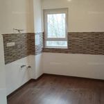 Rent 1 bedroom apartment of 61 m² in Izsák