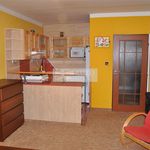 Rent 1 bedroom apartment of 30 m² in Poděbrady