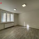 Rent 4 bedroom apartment of 110 m² in Ostrava