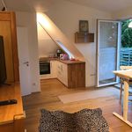 Rent 2 bedroom apartment of 42 m² in Vellmar