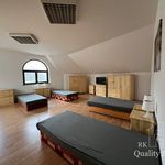 Pronajměte si 1 ložnic/e byt o rozloze 50 m² v Město Albrechtice
