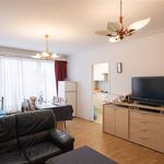 Rent 2 bedroom apartment in Borsbeek