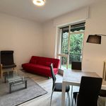 Rent 2 bedroom apartment of 63 m² in Monza