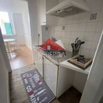 Rent 2 bedroom apartment of 40 m² in Mazamet