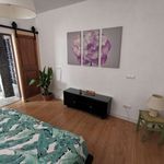 Rent a room of 45 m² in Palma