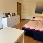 Rent 1 bedroom apartment of 35 m² in München