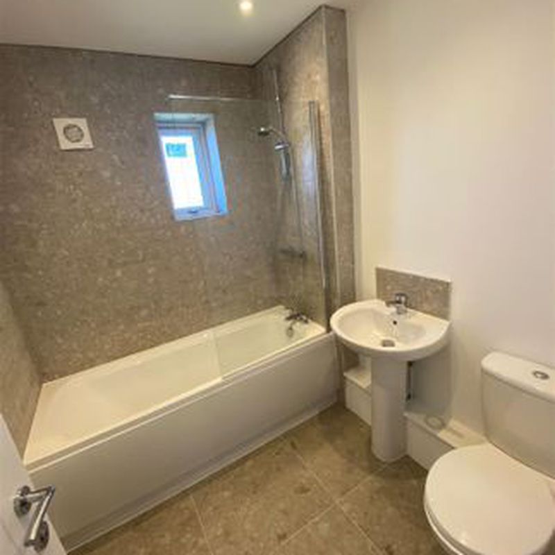 Detached house to rent in Rotherfield Square, Sunderland SR5 Hylton Red House