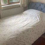 Rent a room of 50 m² in Ballyboden