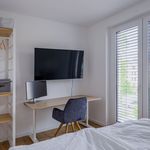 Miete 2 Schlafzimmer wohnung von 58 m² in Celle