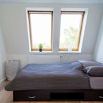 Miete 1 Schlafzimmer wohnung von 50 m² in Berlin