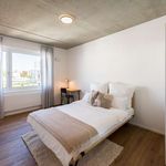 Rent a room of 76 m² in frankfurt