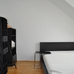 Rent 2 bedroom apartment of 41 m² in Linz
